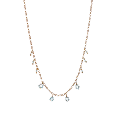 PRIMULA